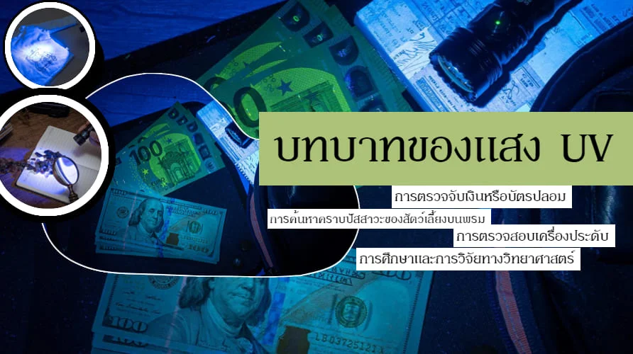 เลือกไฟฉาย UV ที่เหมาะได้อย่างไร?